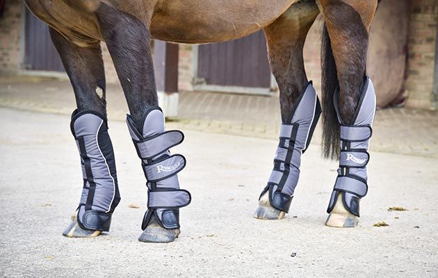 Rhinegold Ripstop Full Length Travel Boots review