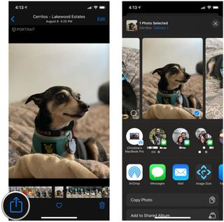 How to share individual photos from the Photos app on iPhone by showing steps: Tap the Share button, select your preferred sharing method