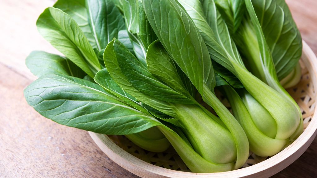 fresh Bok choy