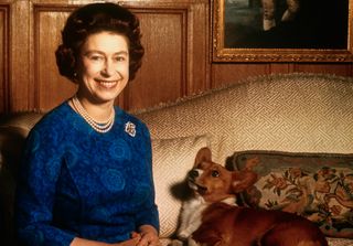 The Queen had at least 30 Corgis in her lifetime