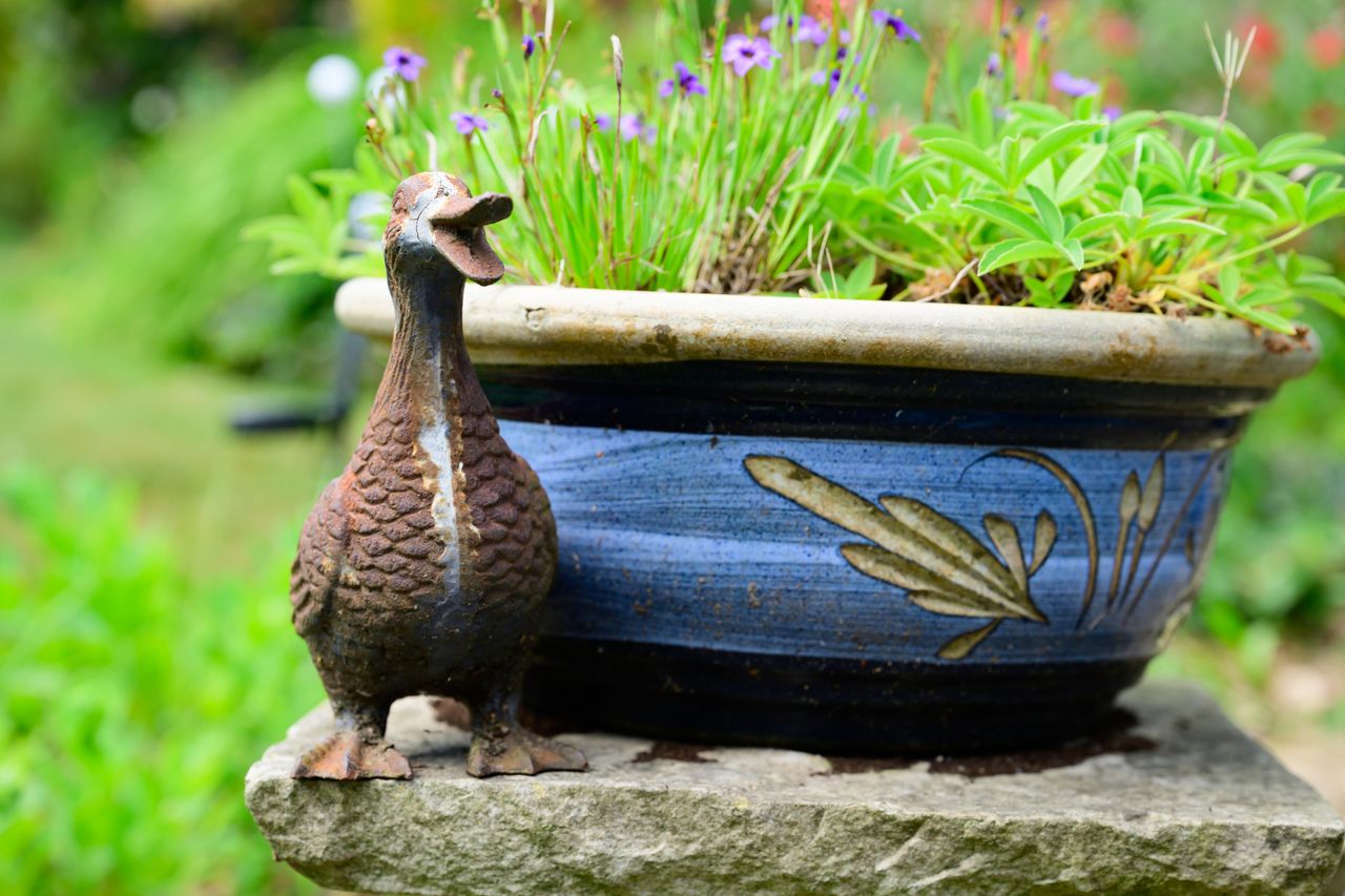 A photo of a metal duck next to a blue plant pot, with green grass and plants in the background.