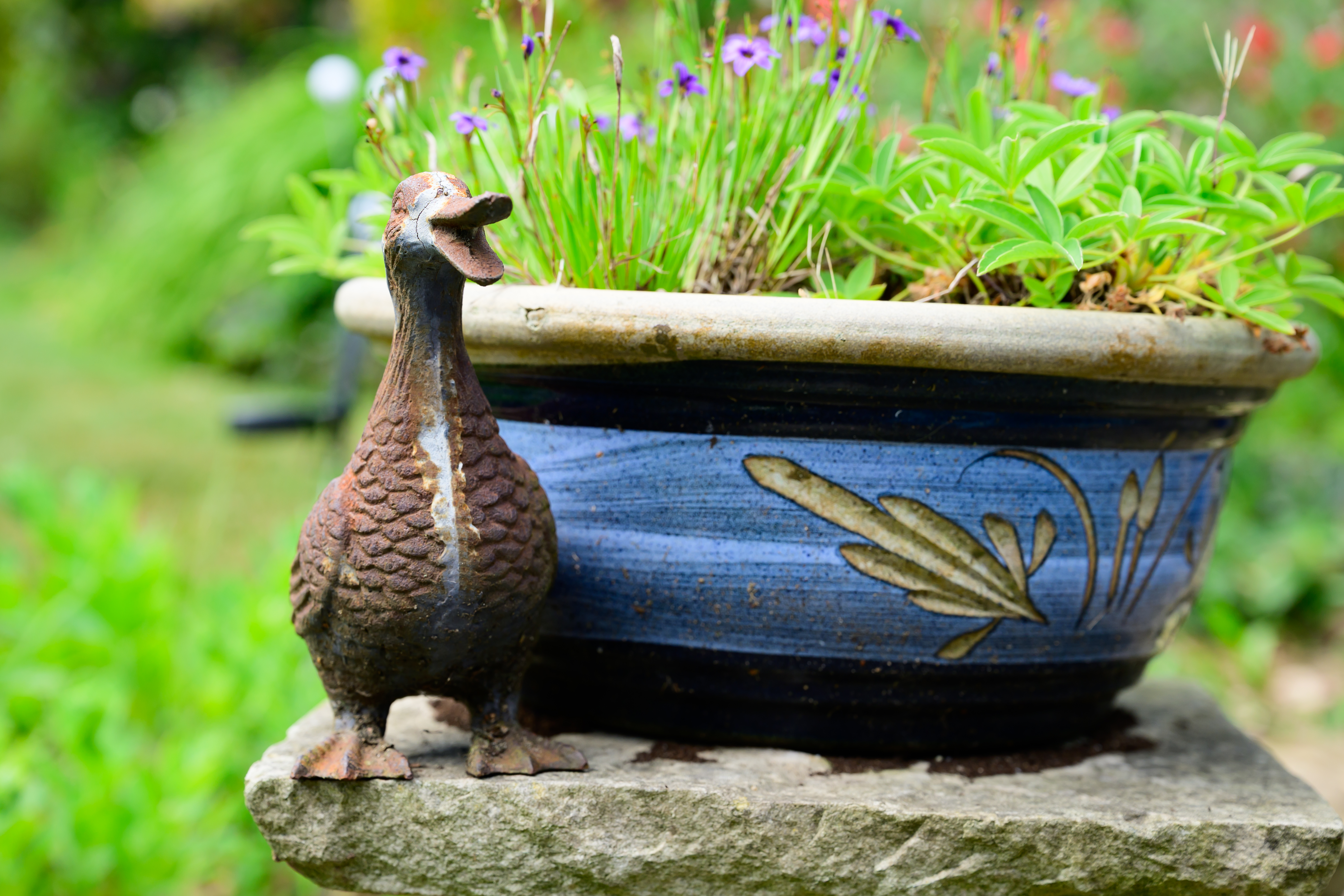A photo of a metal duck next to a blue plant pot, with green grass and plants in the background.