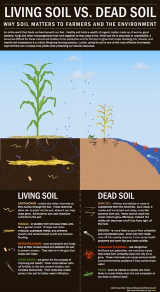 A graphic depicting the traits that make one soil healthy and another unproductive.
