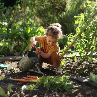 A child gardening in a vegetable garden