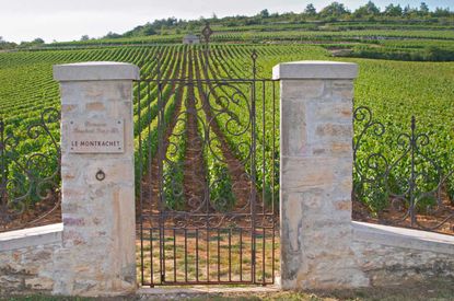 Gates of Domaine Bouchard Père et Fils
