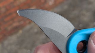 The bezel edge of a pruner blade