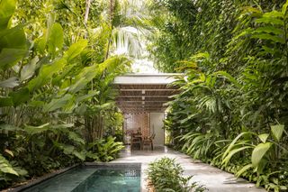 Workspace among foliage and the gardens of Tropical Shed in Manaus