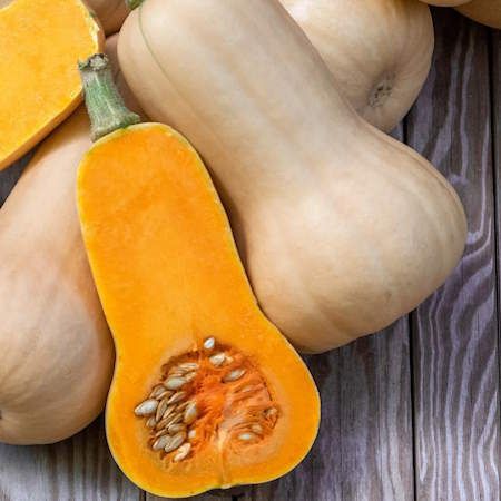 Squash, Winter, Waltham Butternut