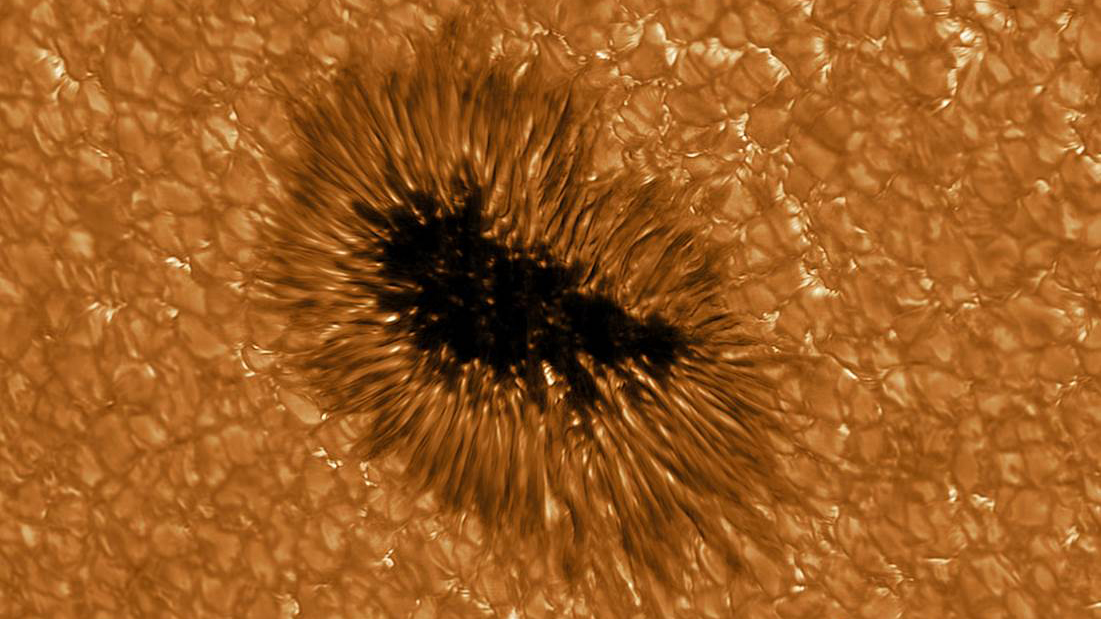 A high-resolution GREGOR image of a sunspot, a cool, dark magnetic storm on the sun.