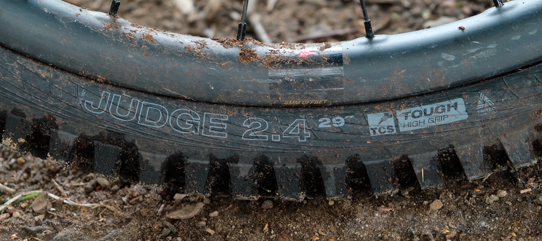 Close up of a WTB Judge rear tyre fitted to a MTB wheel