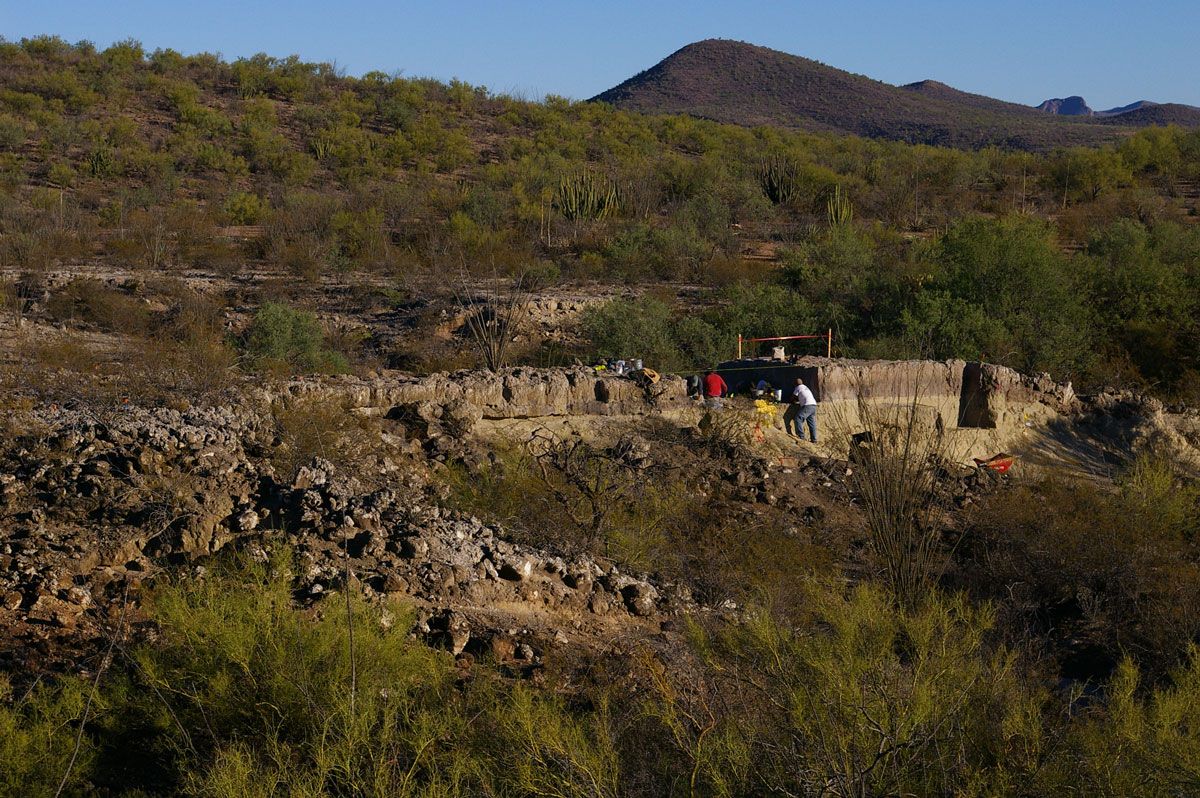 Sonora Clovis site