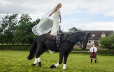 joanne eccles wedding vaulting