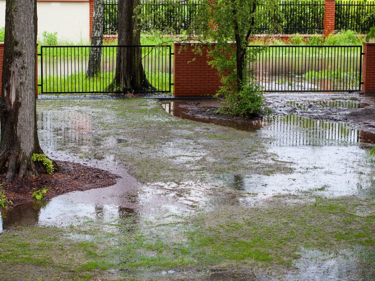 Lawn Flooded With Water