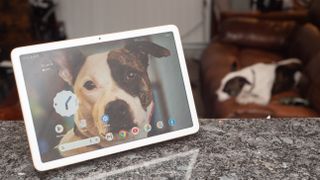 En Google Pixel Tablet står på en köksbänk med en hund som bakgrundsbild på hemskärmen.