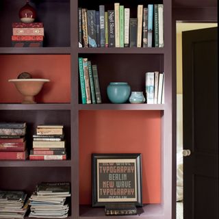 Benjamin Moore Colour Amazon Soil