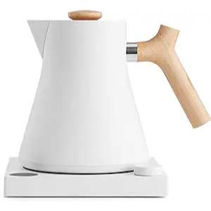 Electric tea kettle