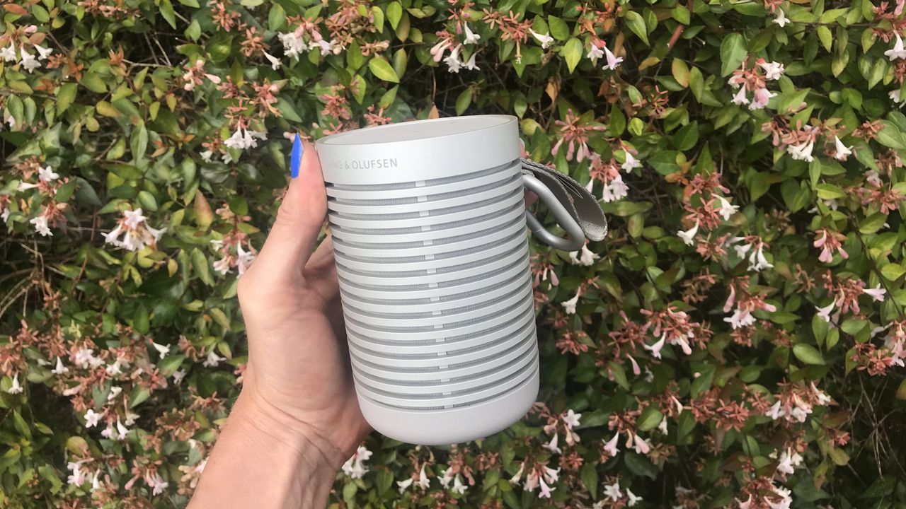 Bang &amp; Olufsen Beosound Explore Bluetooth speaker with flowers in the background