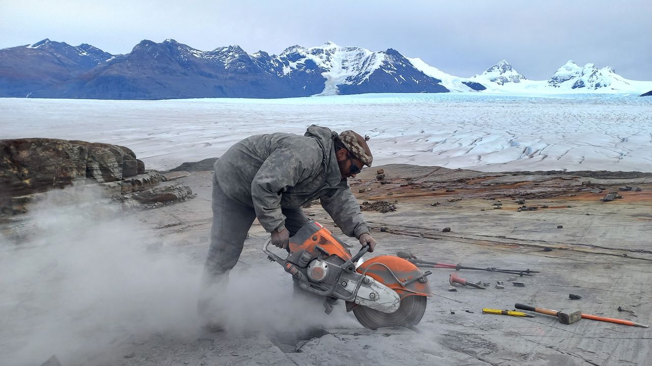 a man uses a rock saw to cut out a fossil