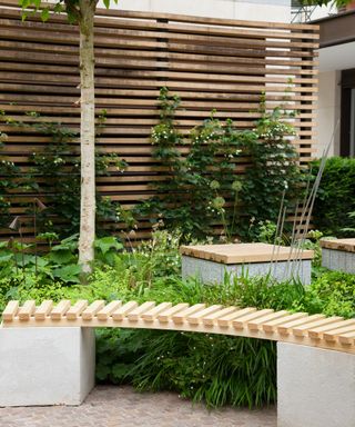 Slatted fence with climbing plants and a curved bench illustrating space enhancing long garden ideas.