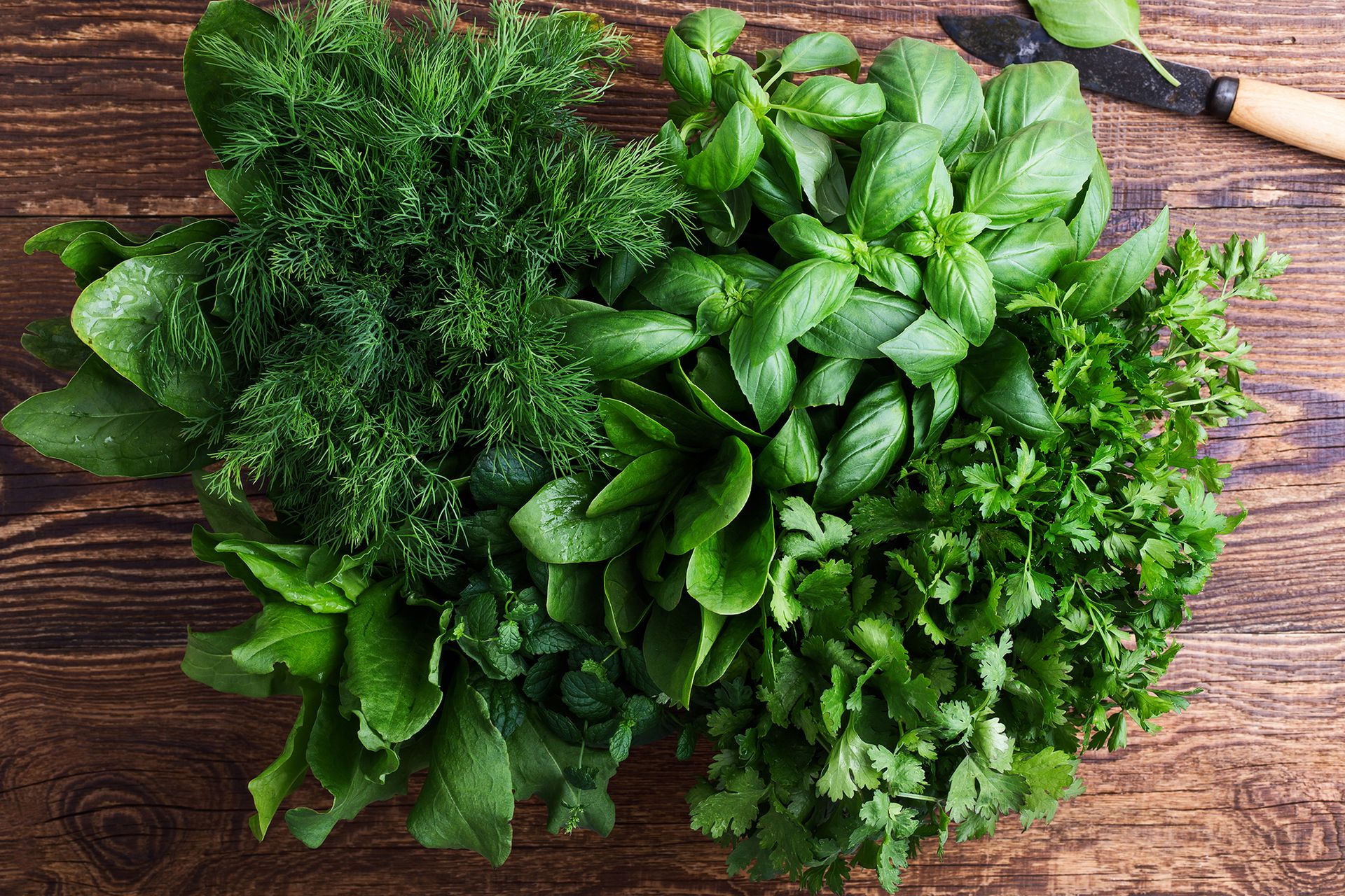 When to plant herbs: for a plentiful, fresh supply | Homes & Gardens