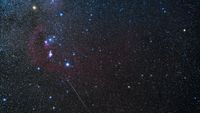 The stars of the constellation Orion shine in a winter night sky against a background of fainter stars as a meteor streaks diagonally across the image to the lower right.