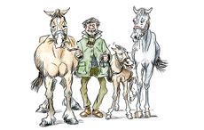 stable stereotypes dealer