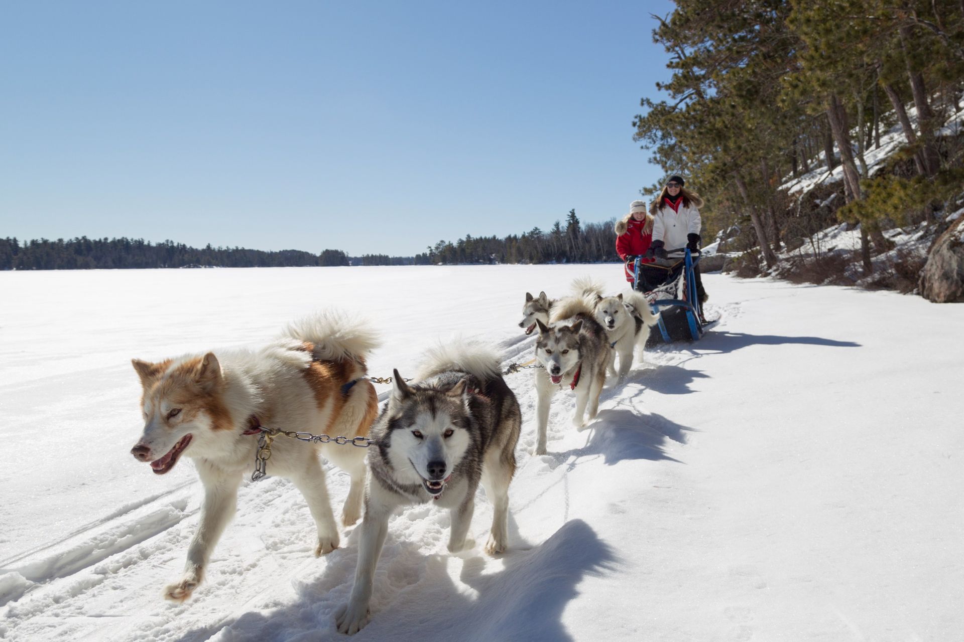 A mother and daughter dogsledding in Minnesota.