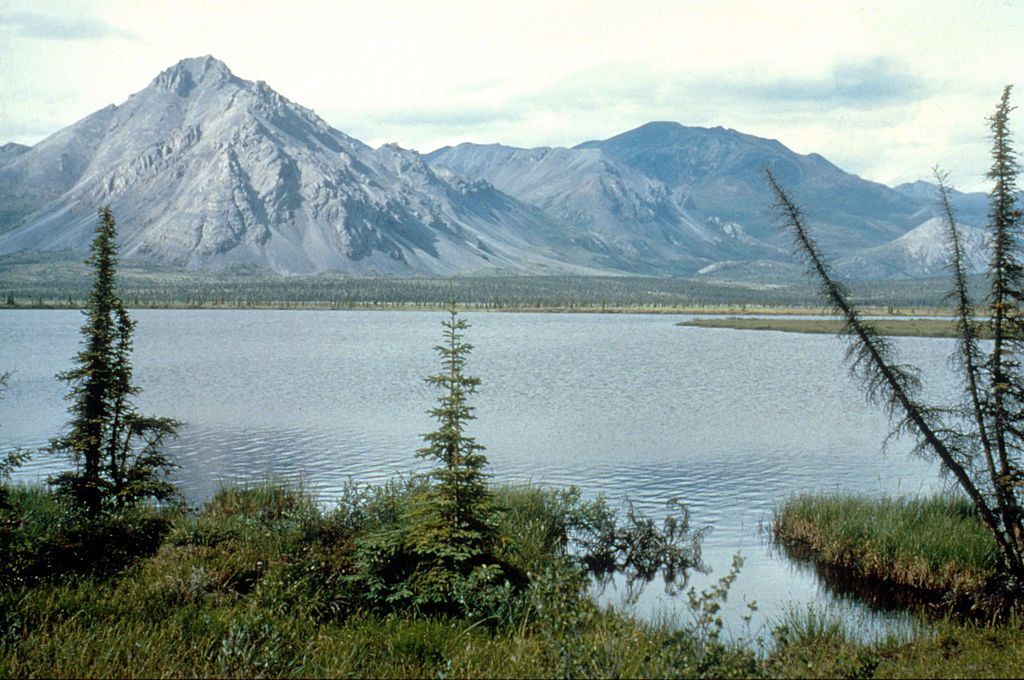 Arctic Wildlife Refuge.