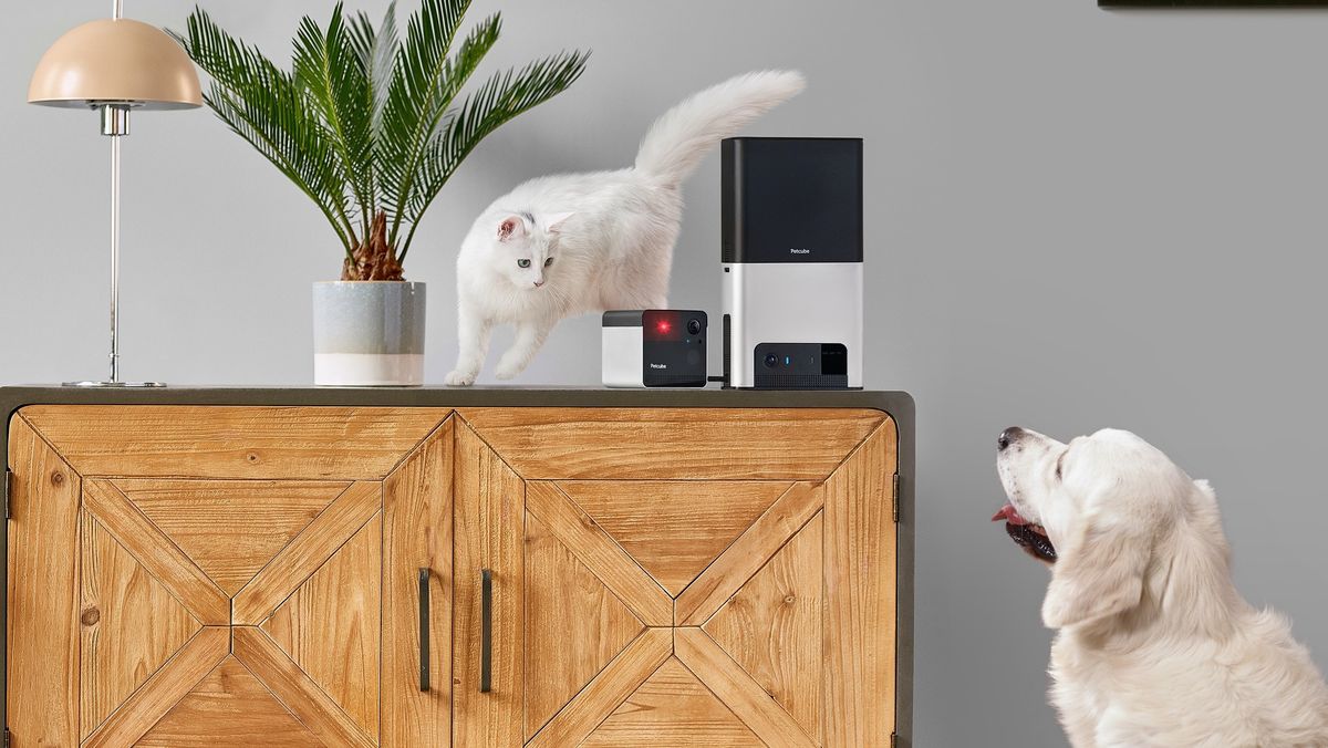 nest thermostat with pets