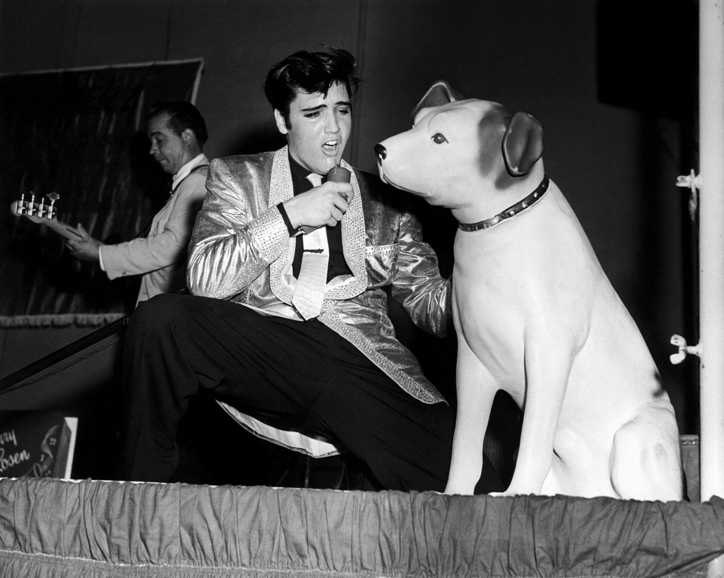 Elvis and dog