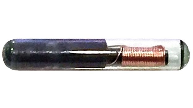 RFID Chips