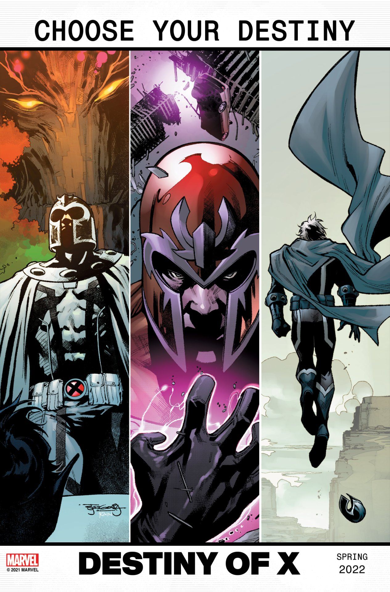 Destiny of X