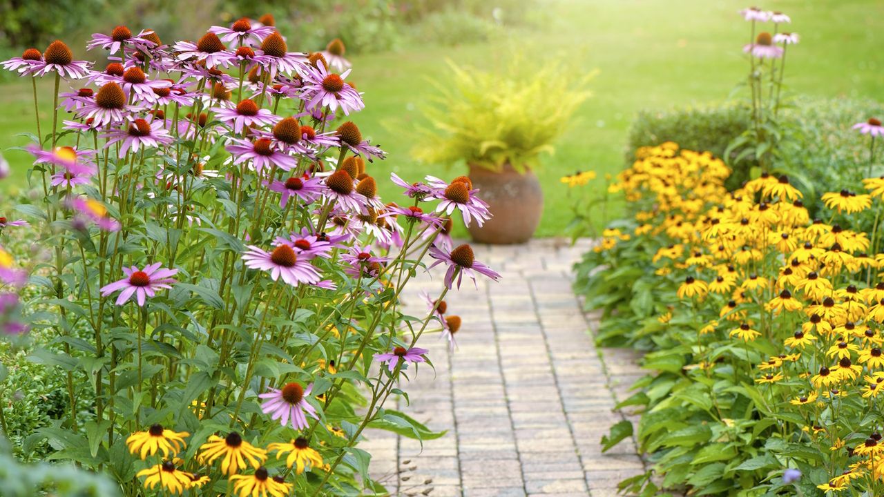 Flowers to plant if you rent