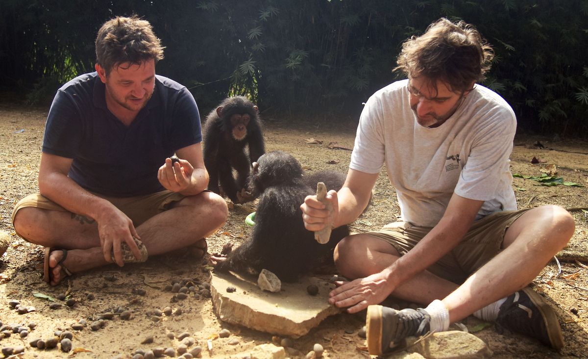 Ben Garrod and Jimmy Desmond Baby Chimp Rescue