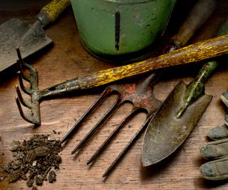 Old garden tools on a wooden surface