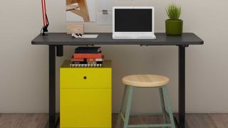 Flexispot Electric Height Adjustable Standing Desk