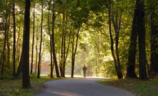 Quiet man walking