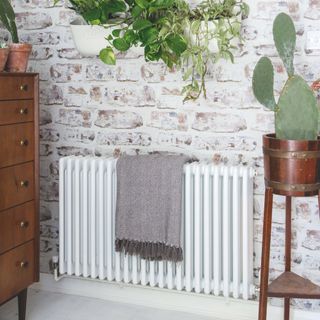 White-bricked room with white radiator and a throw over it, next to plants and a wooden cabinet