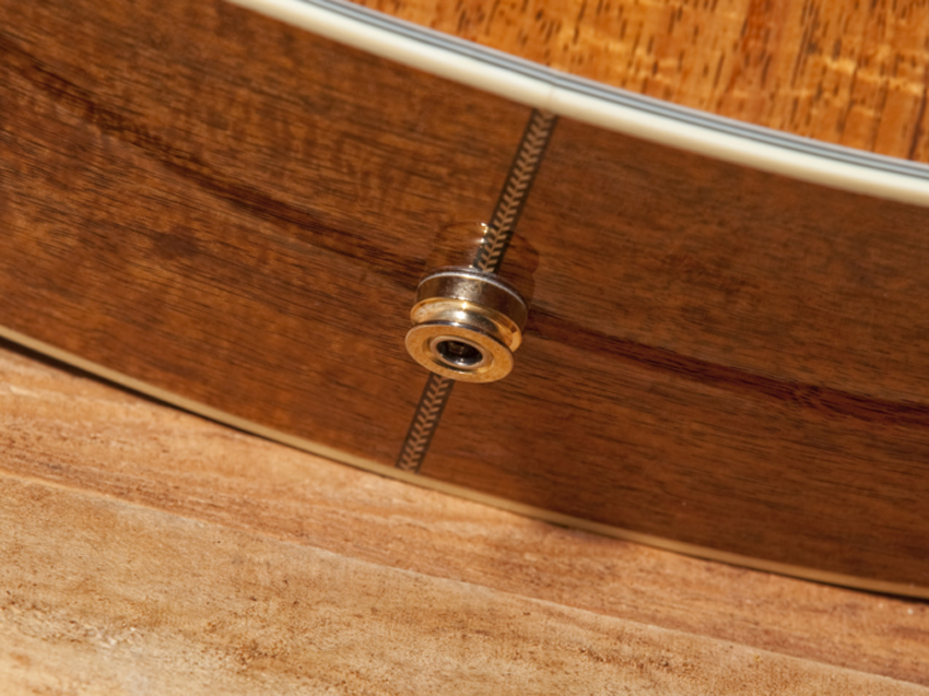Pro Custom Classic Koa Auditorium Cutaway