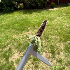 GARDENA Weed Puller removing weeds from lawn