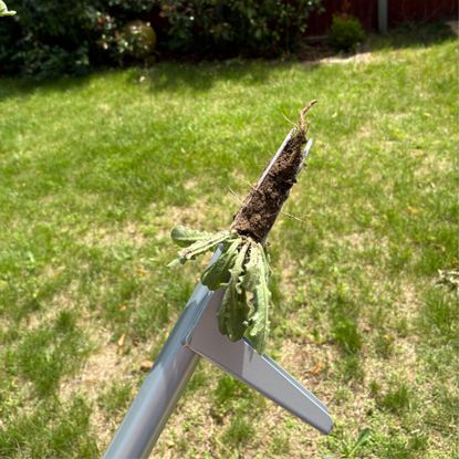 GARDENA Weed Puller removing weeds from lawn