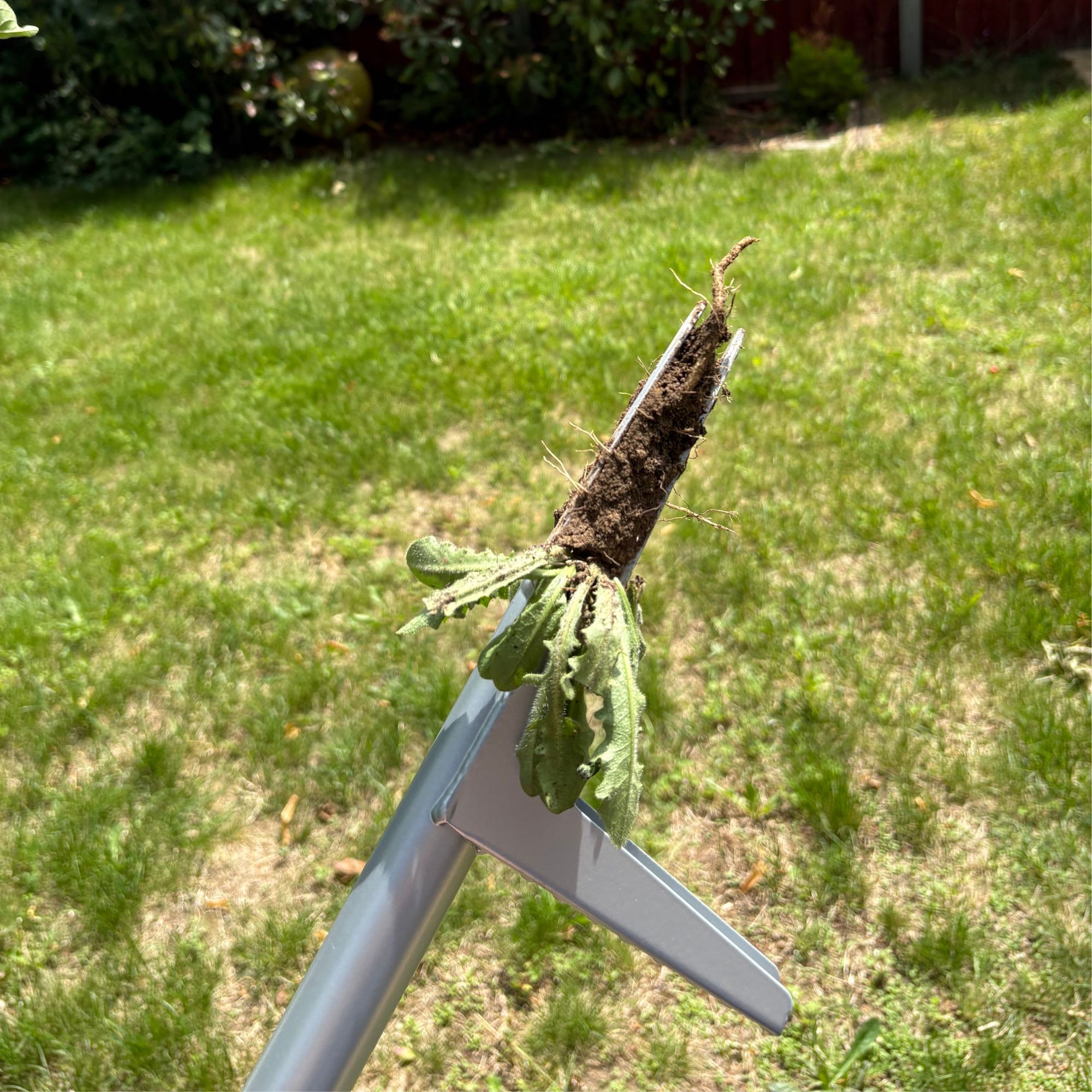 GARDENA Weed Puller removing weeds from lawn