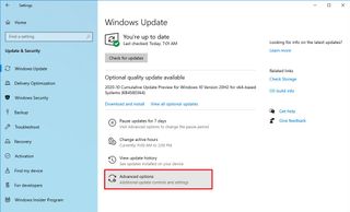Windows Update with Advanced Options selected