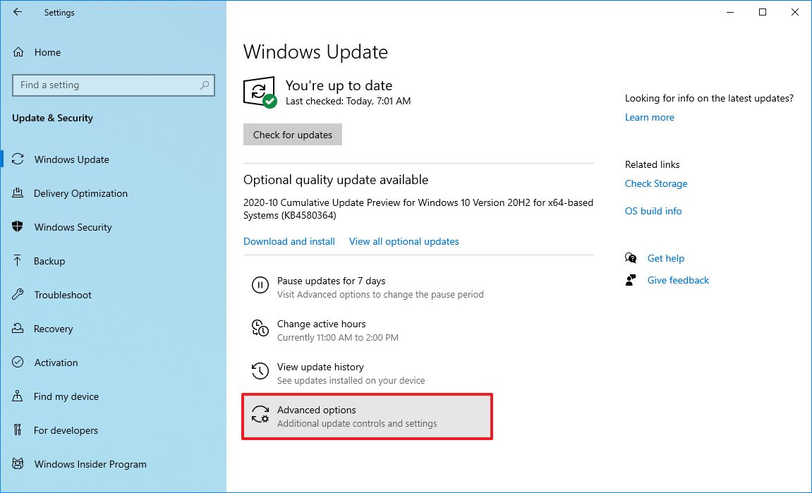 Windows Update with Advanced Options selected