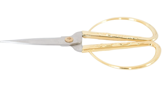 gold houseplant scissors