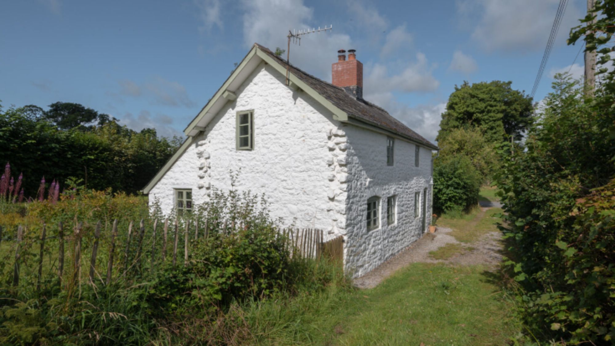 cottage with surrounding foliage