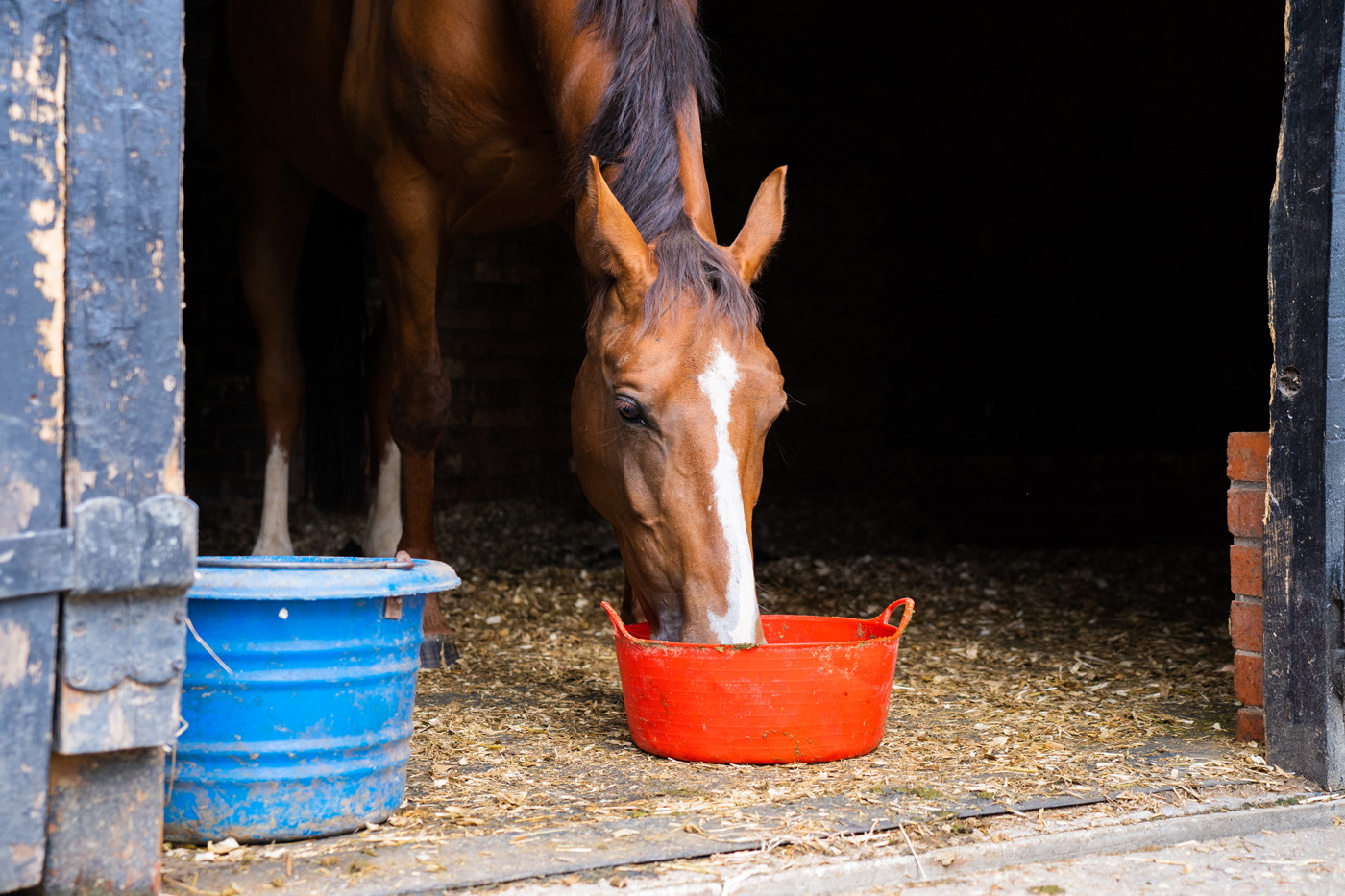 Hi-Fi-Lite-into-Orange-bucket_1400px
