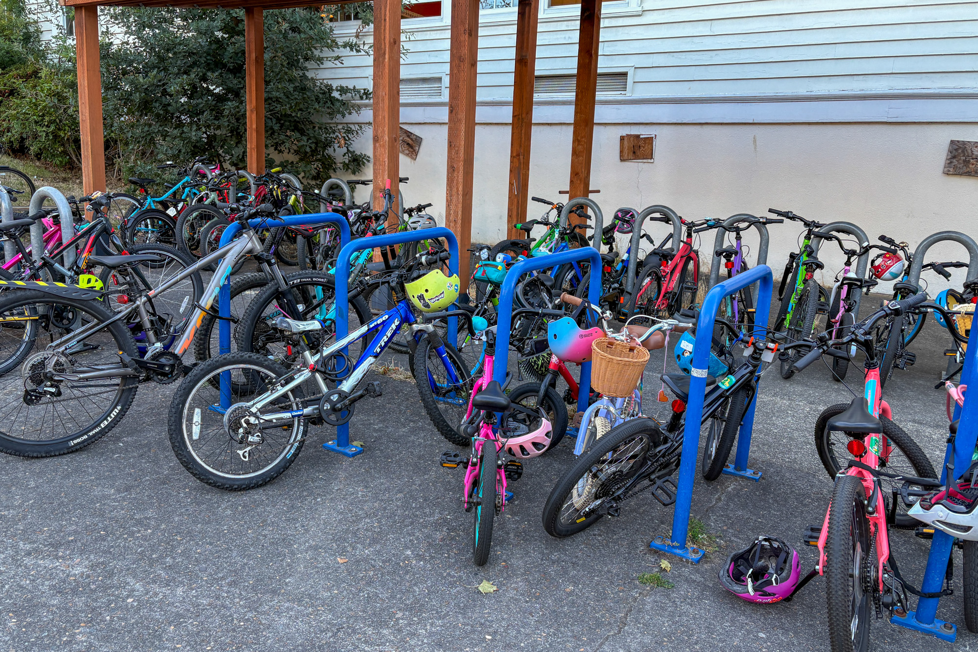 Sam Balto&#039;s Bike Bus