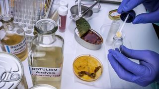 A person testing an array of food items for botulism using laboratory equpiment