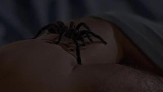Along Came A Spider